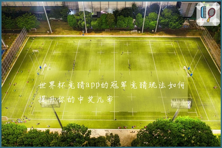 世界杯竞猜app的冠军竞猜玩法如何提升你的中奖几率