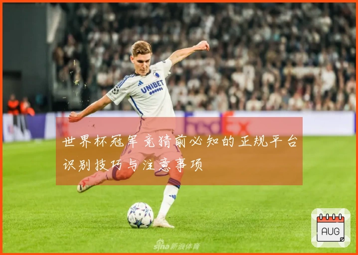 世界杯冠军竞猜前必知的正规平台识别技巧与注意事项