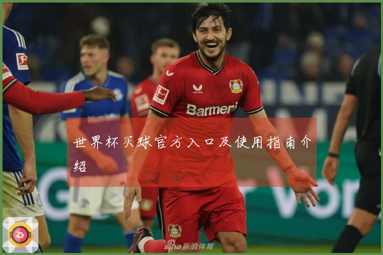 世界杯买球官方入口及使用指南介绍