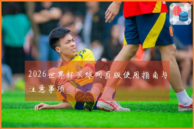 2026世界杯买球网页版使用指南与注意事项
