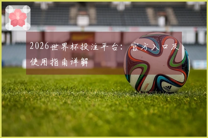 2026世界杯投注平台：官方入口及使用指南详解