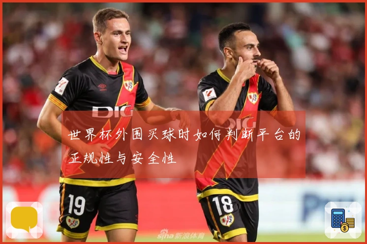 世界杯外围买球时如何判断平台的正规性与安全性