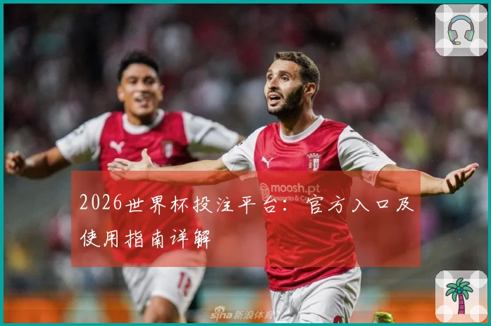 2026世界杯投注平台：官方入口及使用指南详解