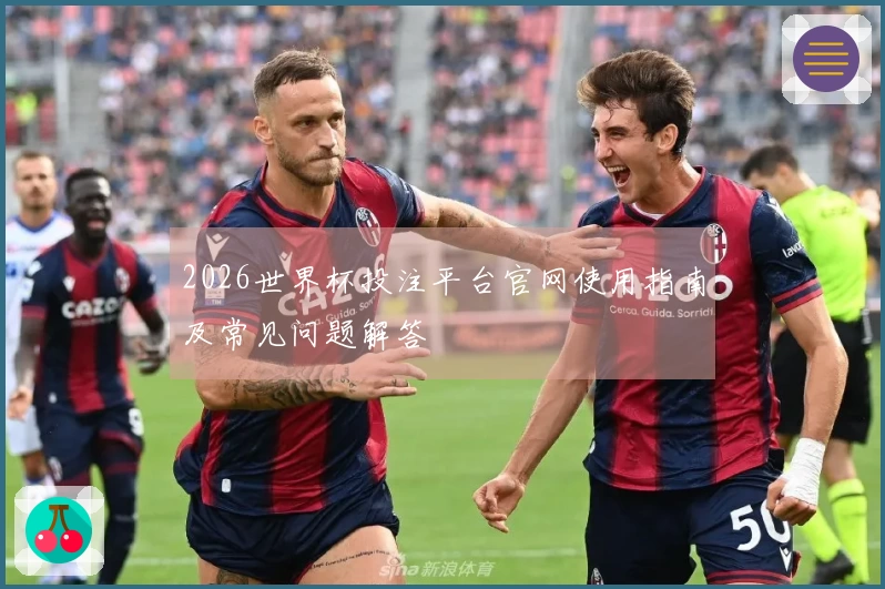 2026世界杯投注平台官网使用指南及常见问题解答