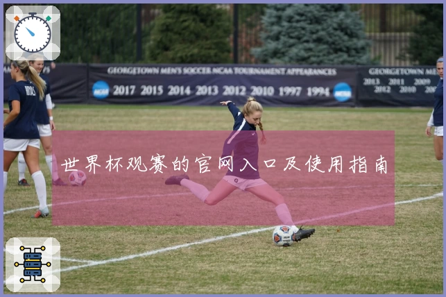 世界杯观赛的官网入口及使用指南