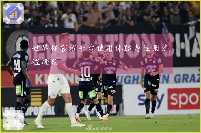 世界杯官方平台使用体验与注册流程说明