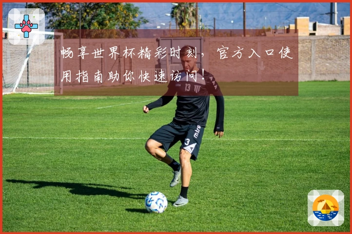 畅享世界杯精彩时刻，官方入口使用指南助你快速访问！