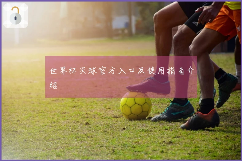 世界杯买球官方入口及使用指南介绍