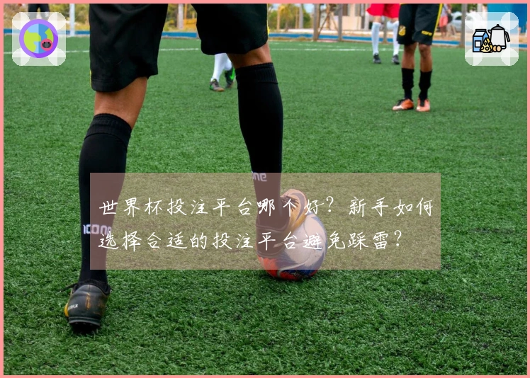 世界杯投注平台哪个好？新手如何选择合适的投注平台避免踩雷？