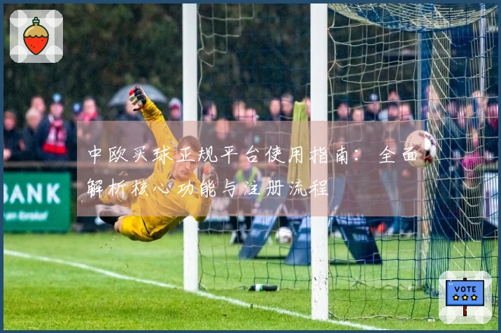 中欧买球正规平台使用指南：全面解析核心功能与注册流程