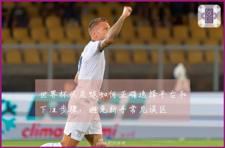 世界杯买足球如何正确选择平台和下注步骤，避免新手常见误区