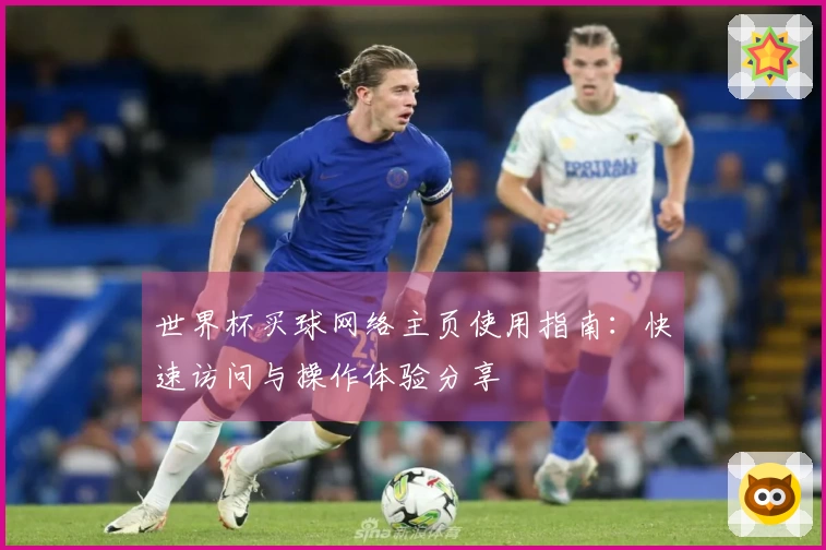 世界杯买球网络主页使用指南：快速访问与操作体验分享
