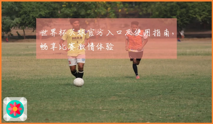 世界杯买球官方入口及使用指南，畅享比赛激情体验